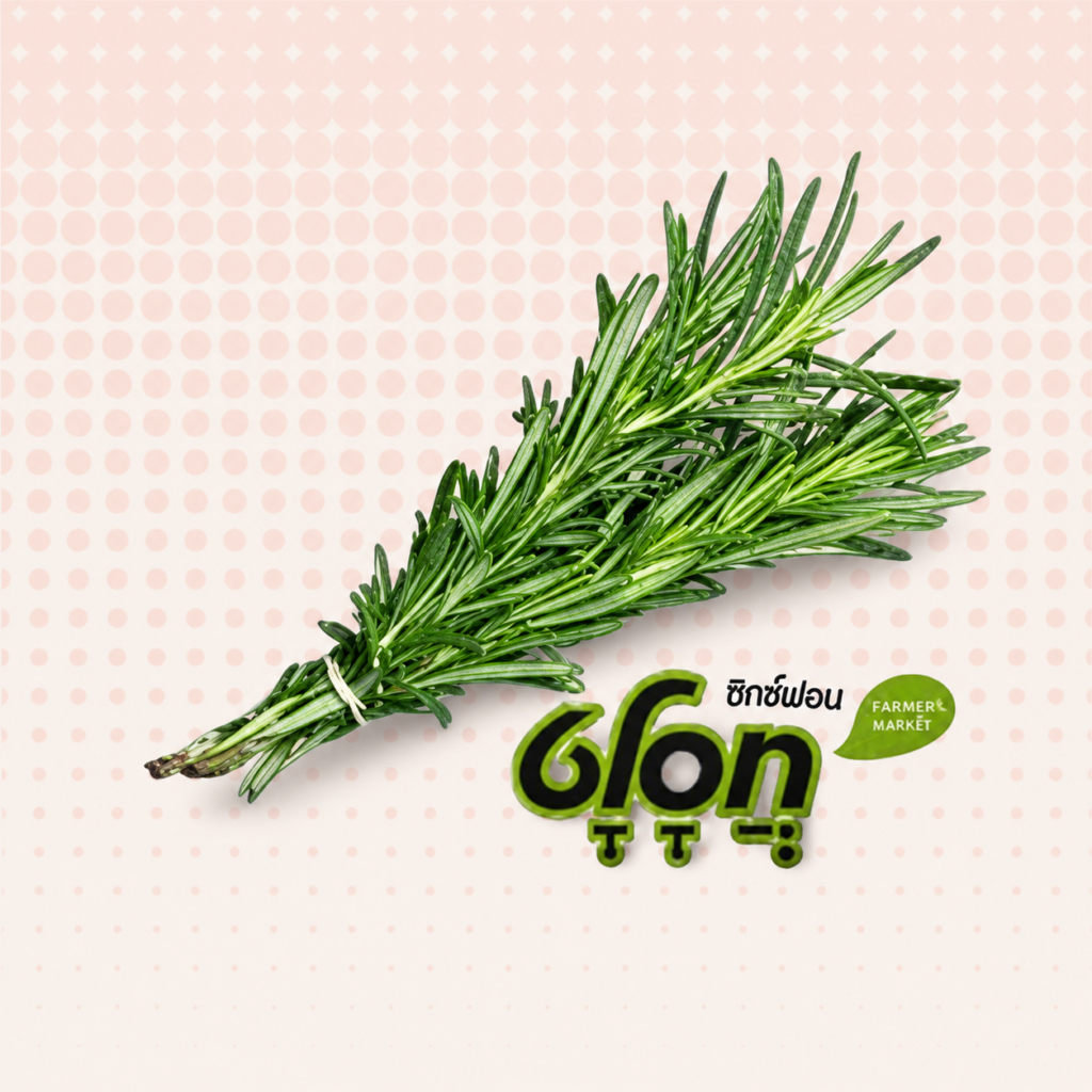 רוזמרין טרי – טרי בקליק